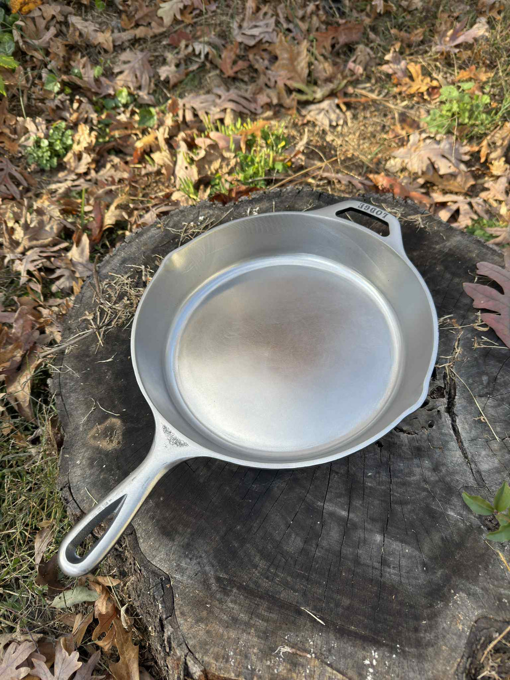 10 1/4 Lodge Cast Iron Skillet - Cooking Finish