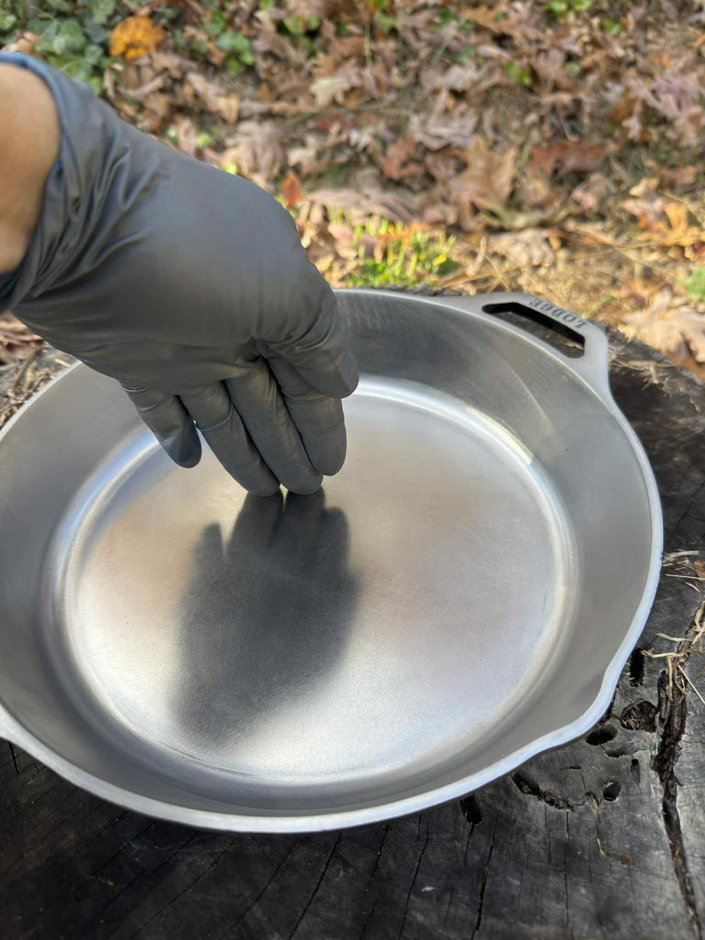 10 1/4 Lodge Cast Iron Skillet - Cooking Finish