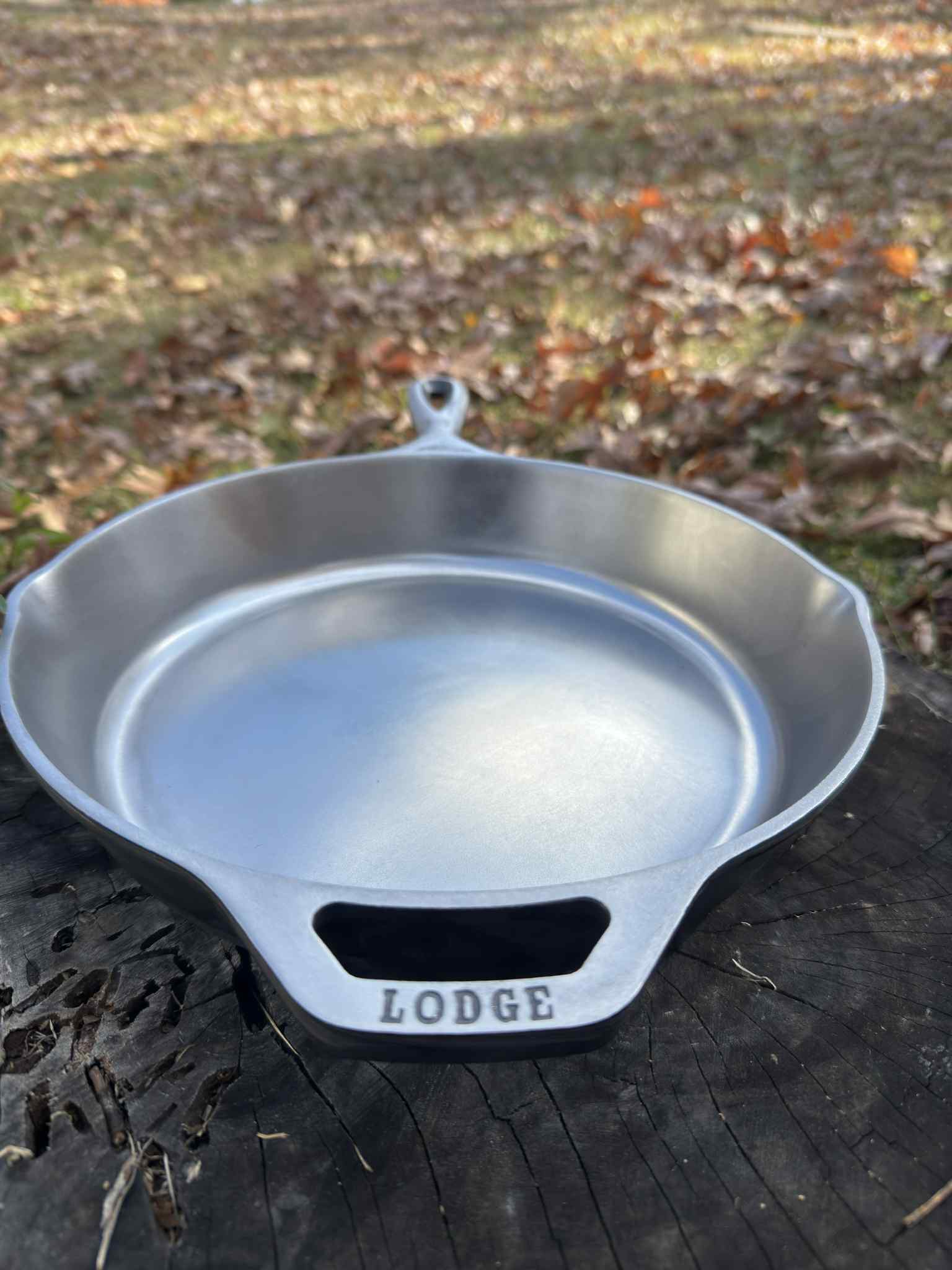 10 1/4 Lodge Cast Iron Skillet - Cooking Finish