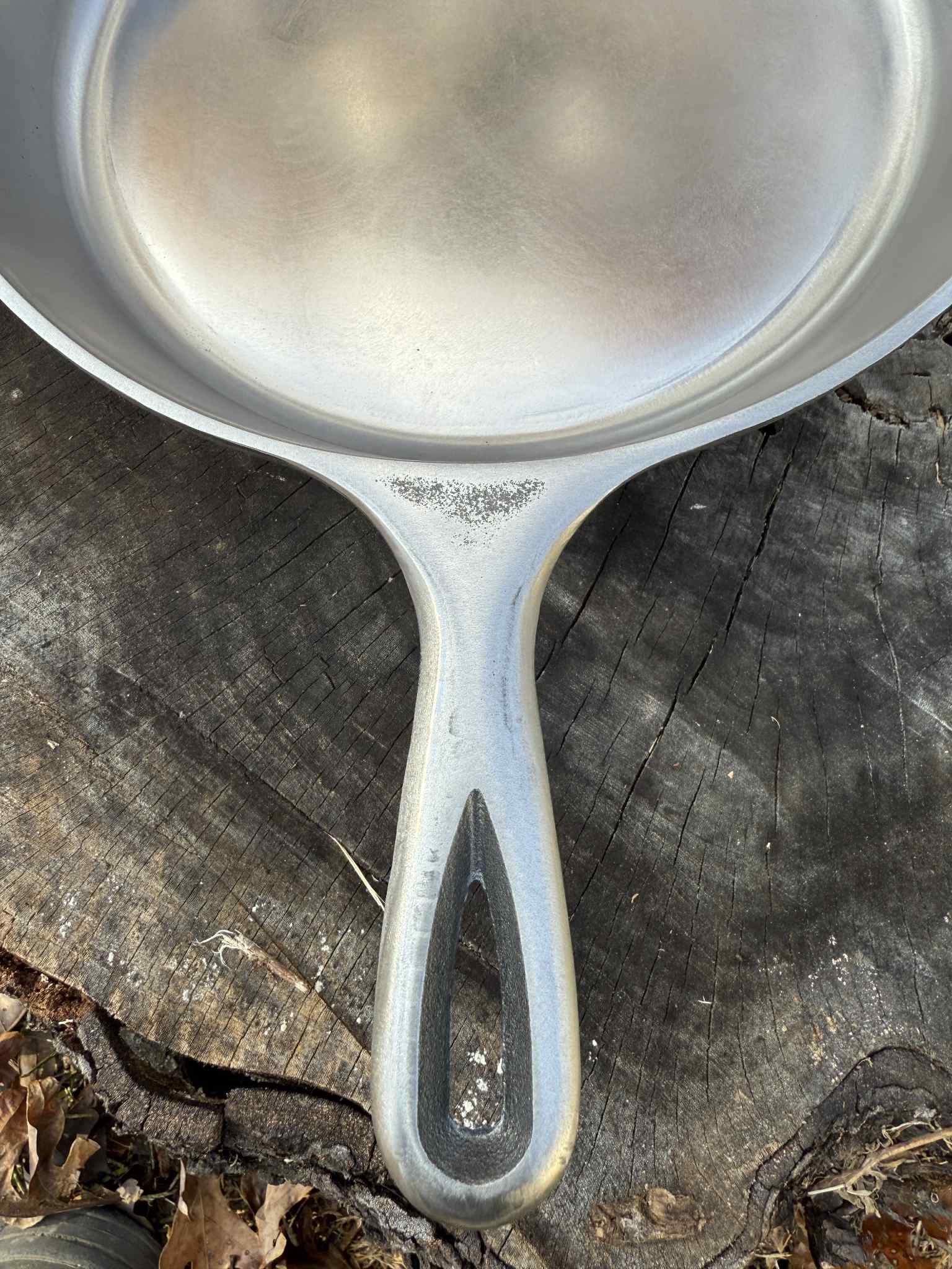 10 1/4 Lodge Cast Iron Skillet - Cooking Finish